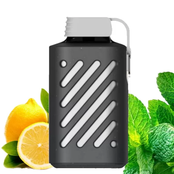 Vozol 10000 lemon mint Nane Limon